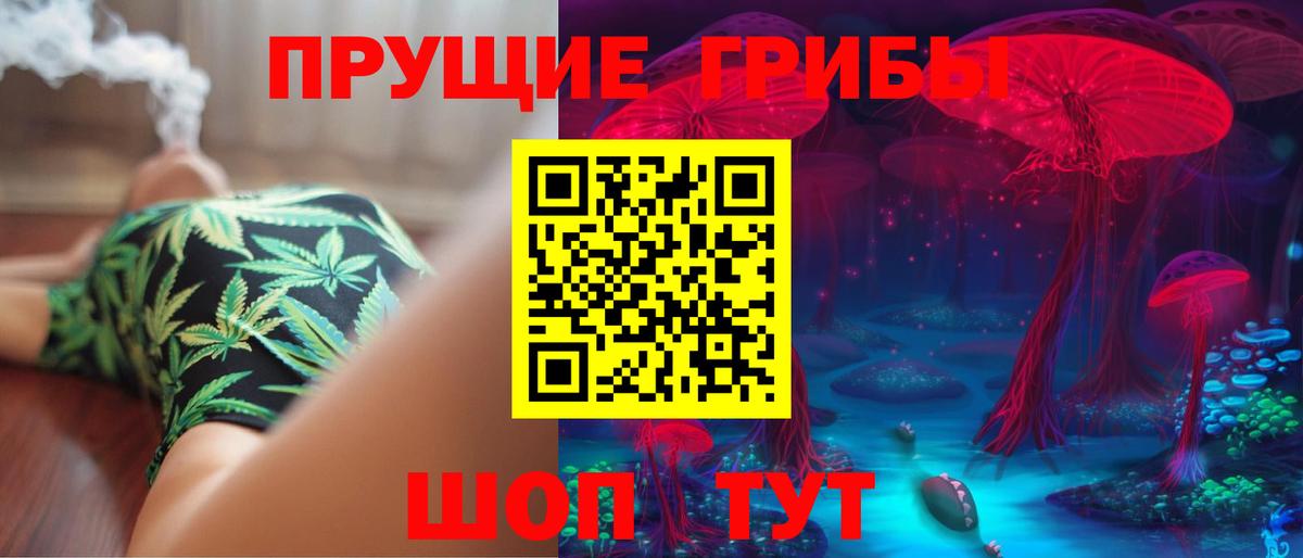 Псилоцибиновые грибы Cubensis Азнакаево